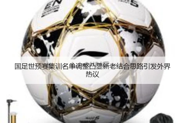 国足世预赛集训名单调整凸显新老结合思路引发外界热议